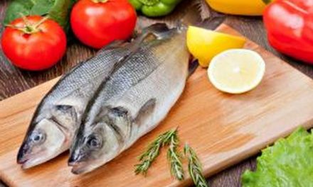 Makanan Olahan Bandeng Merupakan Ikan Yang Sehat