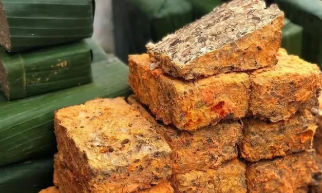 Makanan Tradisional Oncom Dari Negara Indonesia