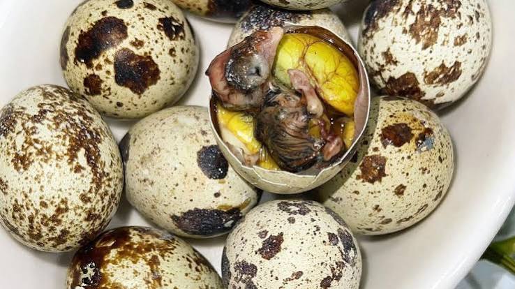 Makanan Ekstrem Asia Terutama Di Negara Filipina