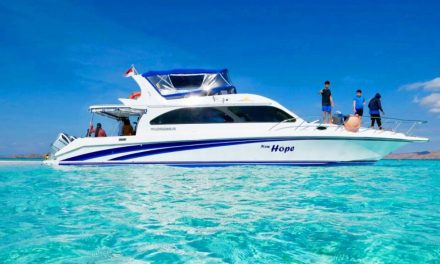 Sebuah Kendaraan Perahu Bermotor Untuk Di Perairan
