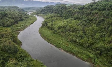 Aliran Alami Sebuah AIr Sungai Ke Dataran Rendah