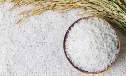 Makanan Pangan Utama Beras Yang Menjadi Nasi