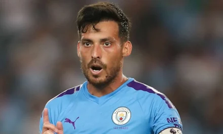 Gelandang Spanyol Seorang Pesepakbola David Silva