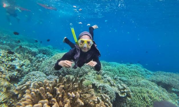 Berenang Permukaan Laut Atau Melakukan Snorkeling
