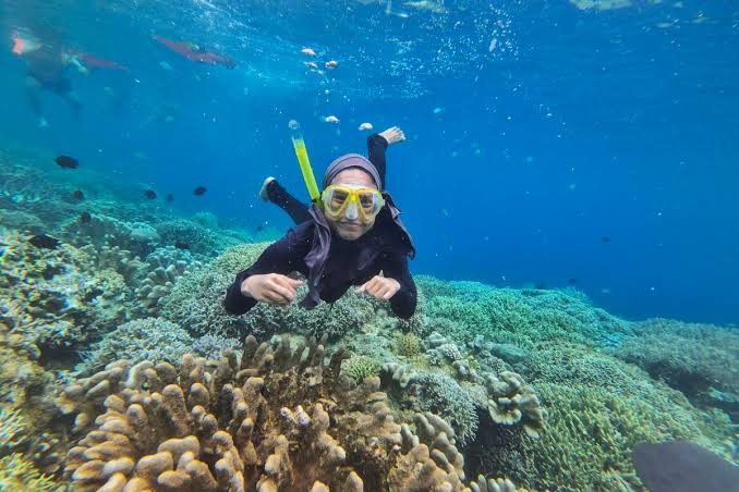 Berenang Permukaan Laut Atau Melakukan Snorkeling