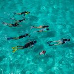 Kegiatan Menyelam Snorkeling Dengan Keindahan Laut