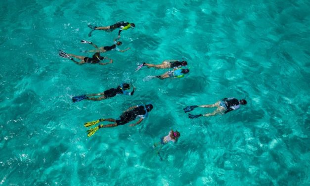 Kegiatan Menyelam Snorkeling Dengan Keindahan Laut