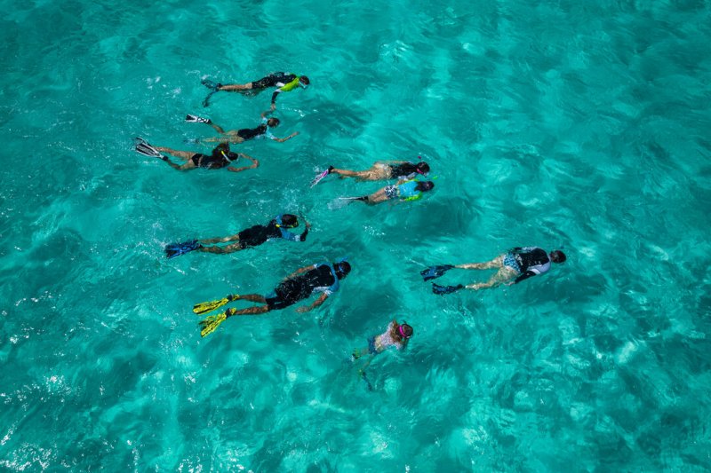Kegiatan Menyelam Snorkeling Dengan Keindahan Laut