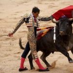 Suatu Kegiatan Matador Dalam Melakukan Adu Banteng