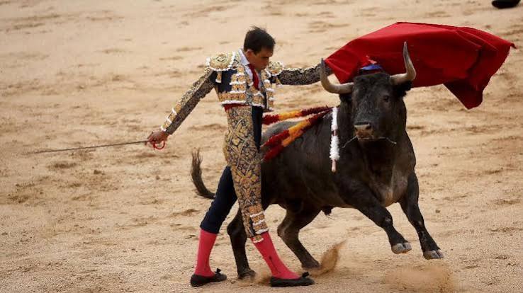 Suatu Kegiatan Matador Dalam Melakukan Adu Banteng