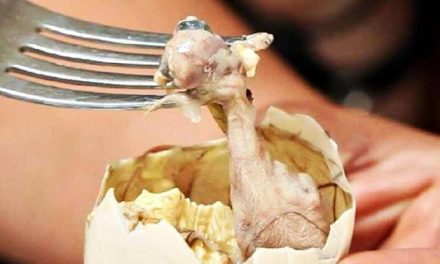 Makanan Ekstrem Balut Di Filipina Dan Asia Tenggara