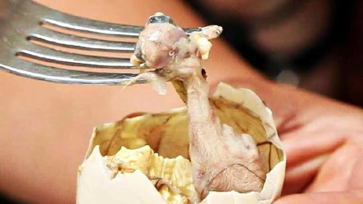 Makanan Ekstrem Balut Di Filipina Dan Asia Tenggara